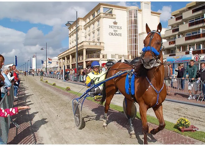 De Koningshof 3* Noordwijk